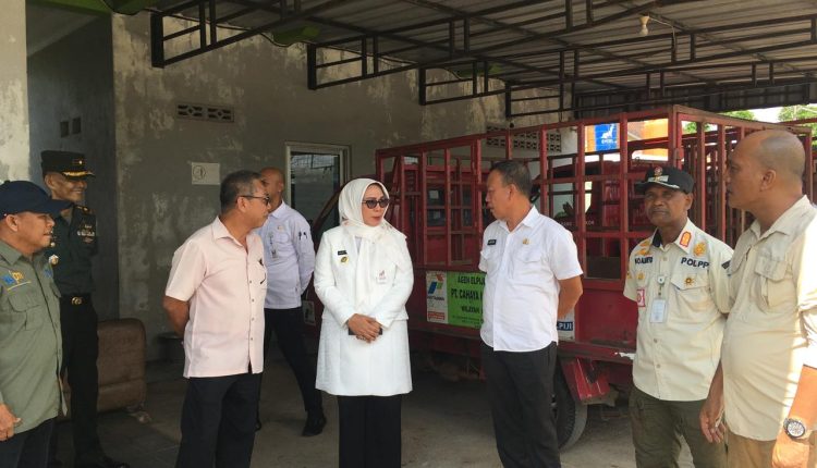 WhatsApp-Image-2024-07-03-at-1.44.49-PM-750x430