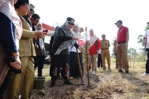 WhatsApp-Image-2024-07-23-at-12.15.31-PM-768x512