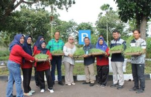 Screenshot_2024_1220_214011