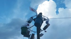 Screenshot_2025-08-24-17-17-07-225_com.lemon.lvoverseas-edit