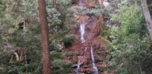 Screenshot_2025-08-29-20-23-39-698_com.google.android.googlequicksearchbox-edit