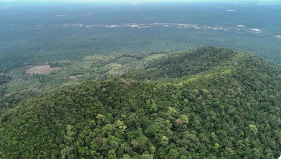 Screenshot_2026-04-17-17-27-50-225_com.android.chrome-edit