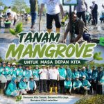 Peringati HKG PKK ke-54 dan Hari Lingkungan Hidup Sedunia,Gubernur  Babel  Hidayat Arsani membuka kegiatan Gelar Aksi Tanam Mangrove