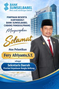 Bank sumsel babe;